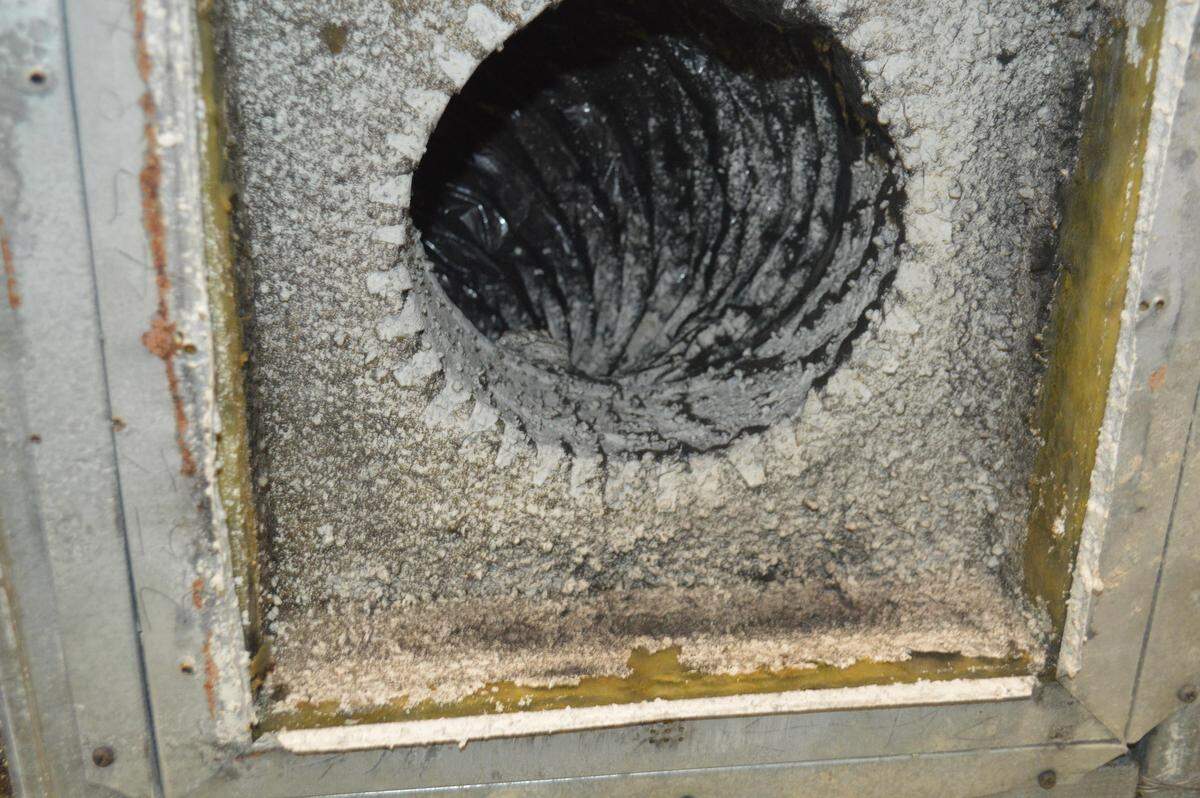 This image from Federal Correctional Institution southwest of Miami shows mold in a vent.