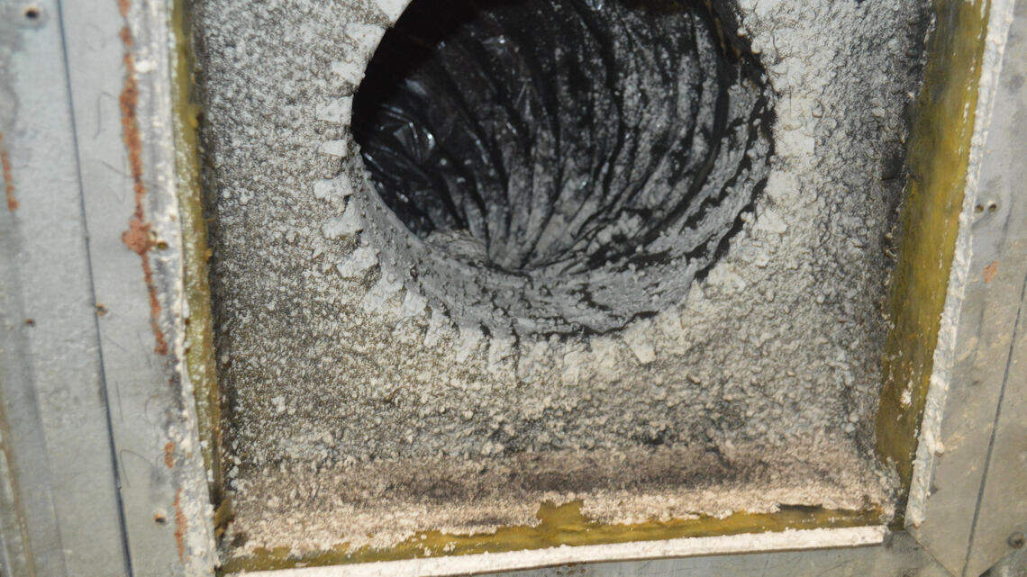 In U.S. prisons, pervasive mold is a threat to correctional officers as well as inmates