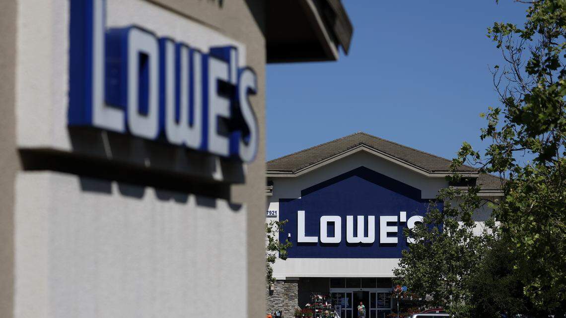 lowe’s home improvement store newborn kittens rescue