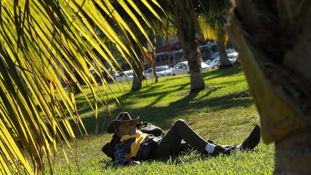 José Montesino tomando una siesta en Lummus Park, en South Beach, el 10 de enero de 2019.
