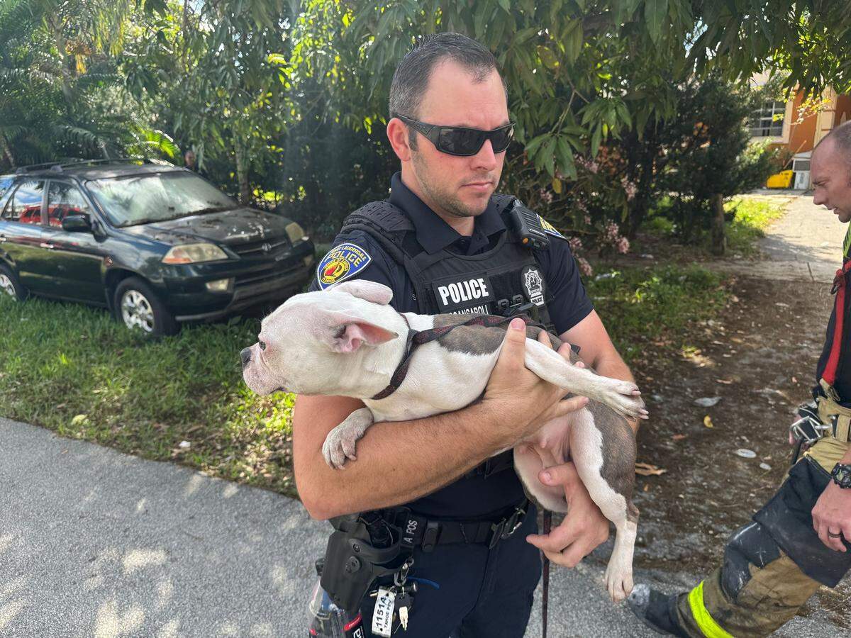 A Fort Lauderdale Police officer holds a dog that firefighters pulled out from a house fire at Melrose Park Thursday morning, Feb. 6, 2025.