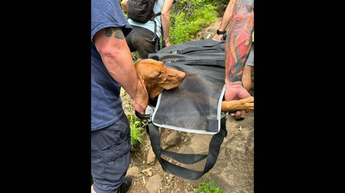 An unusual rescue was staged at Connecticut’s Sleeping Giant State Park when a suddenly immobile dog had to be carried down mountain terrain that “was extremely treacherous.”
