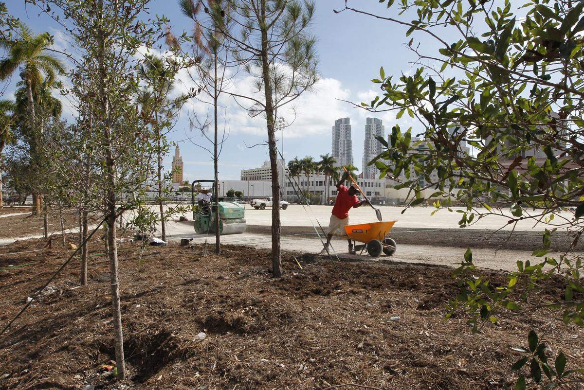 A temporary park replaced the old arena. Work included watering of newly planted grass and trees to ensure they root properly on Jan. 18, 2012.