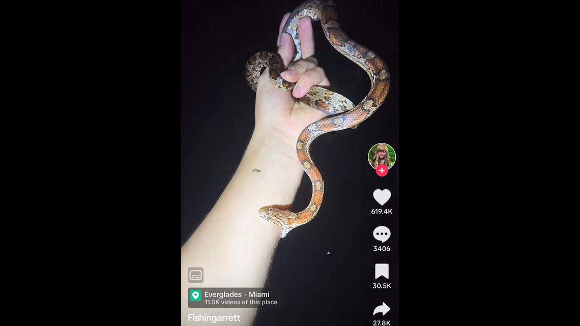 A Florida TikToker explored the Everglades barefoot at night.