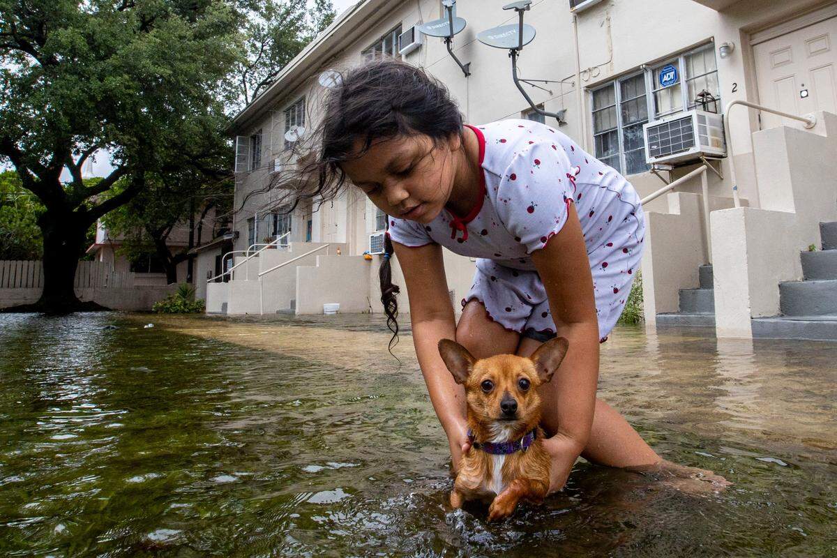 Mileidy Erazo, 6, holds her dog Canelo as he swims in floodwaters near her apartment off Southwest Third Street and Eighth Avenue in the Little Havana neighborhood of Miami, Florida, on Saturday, June 4, 2022.