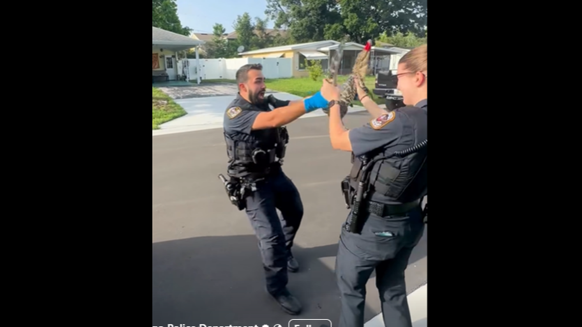 The alligator encounter was a first for Officer Christopher Martinez, who joined the Largo Police Department in November, department officials told McClatchy News.