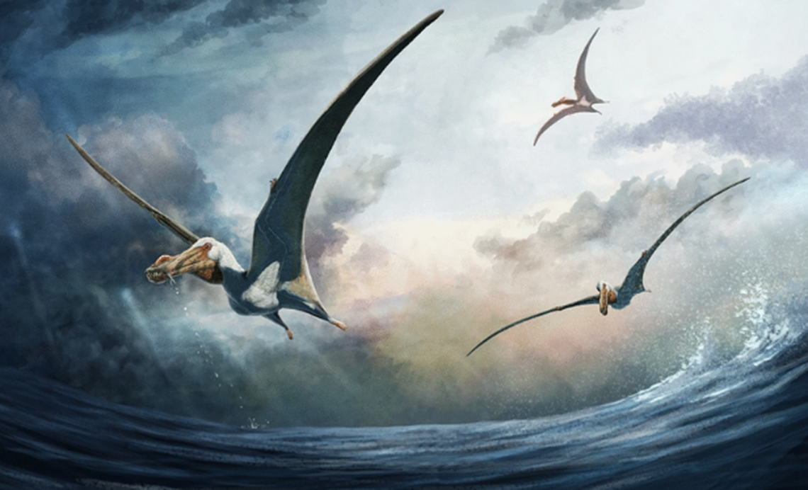 The prehistoric predators had a wingspan of 15 feet and were named a “sea phantom,” according to the study.