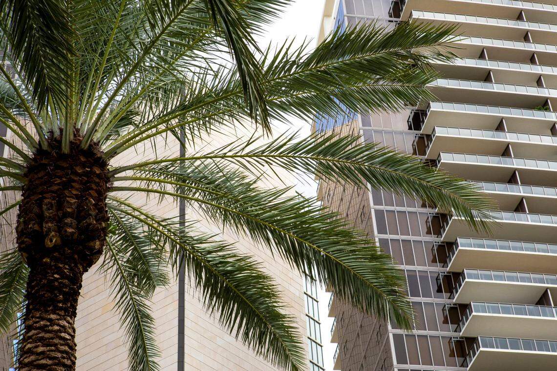 Exterior shot from Collins Avenue, of The St. Regis Bal Harbour Resort, in Bal Harbour, Florida, Tuesday, November 21, 2020.
