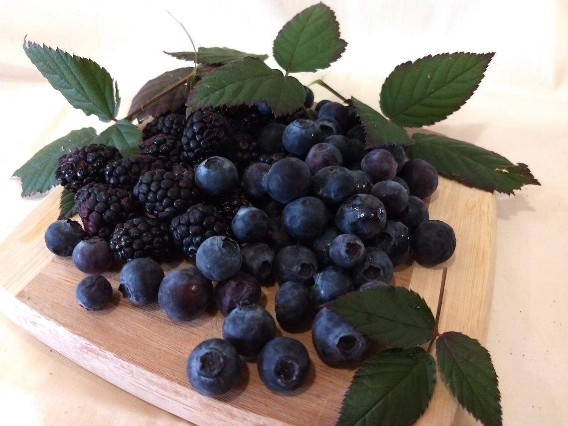 Blackberries and blueberries are anti-inflammatory and good for cognition.