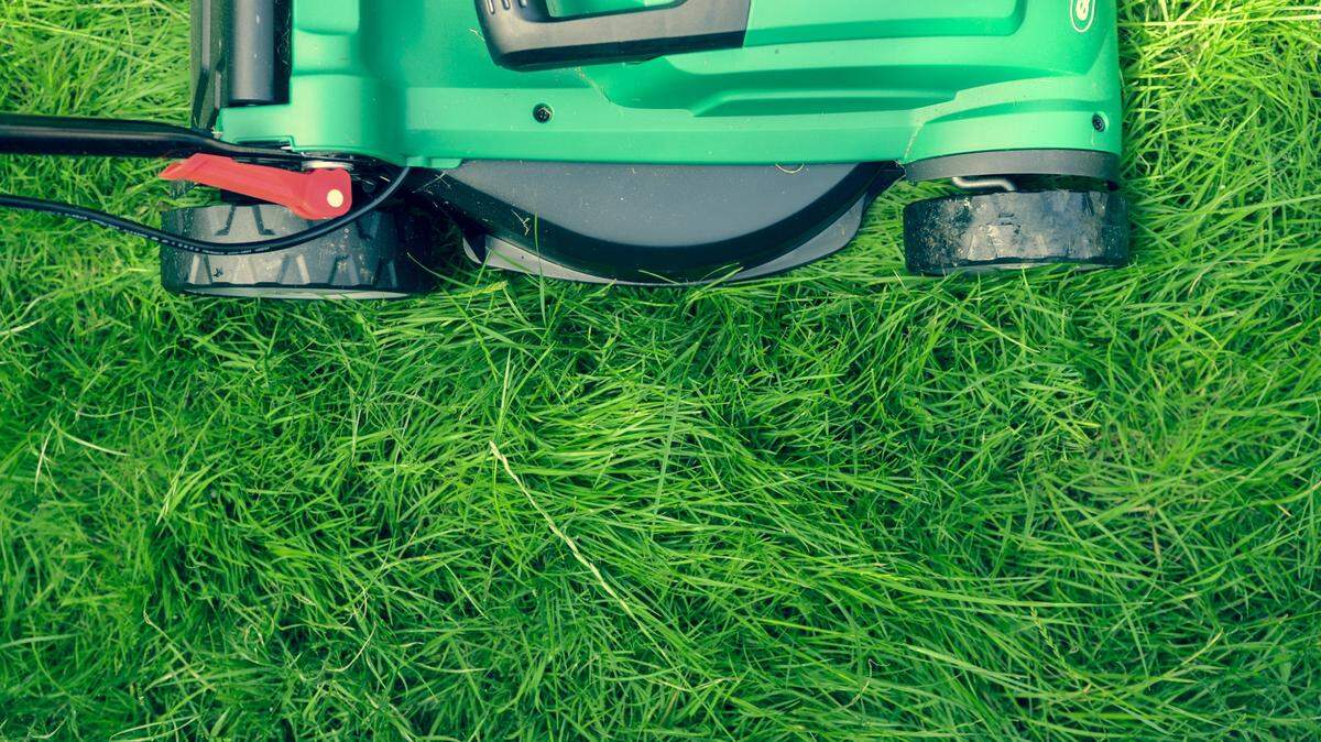 The owner of a Georgia lawn care business is accused of fraud after he lied about his lawn mowers being stolen and pocketed $148,000 in insurance payments.