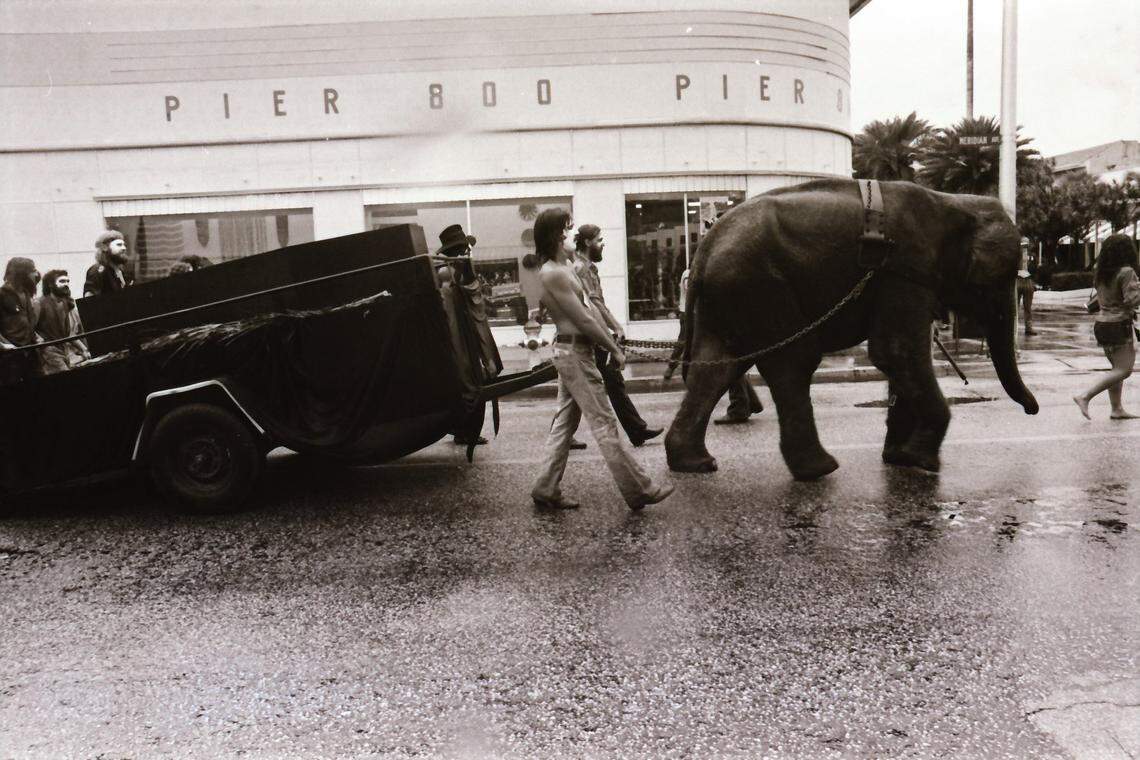 Protesters march with an elephant down Meridian Avenue in Miami Beach.