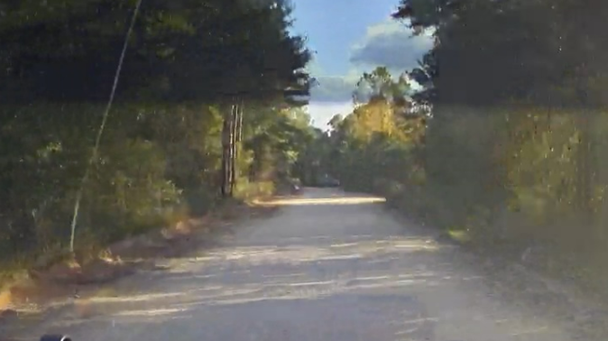 This is the area where Charles “Lucky” Sydenstricker was killed Sunday, Nov. 17, in a hit-and-run crash, the Walton County (Florida) Sheriff’s Office says.