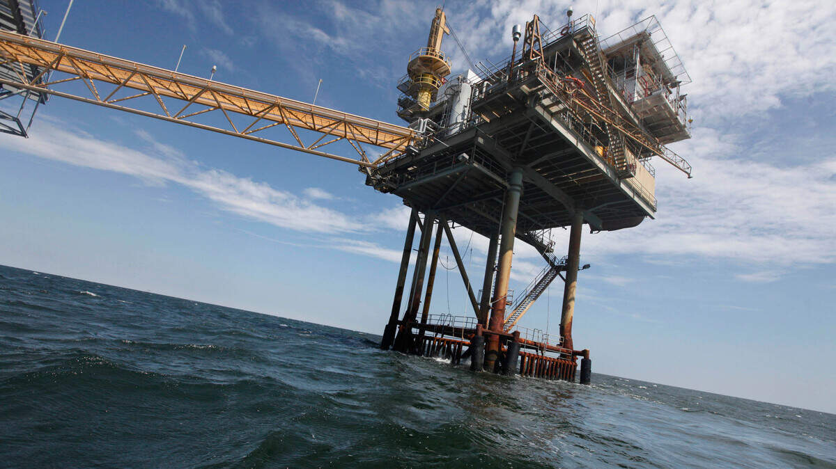 Environmentalists sued the Trump administration on Thursday, asking a federal judge to order wildlife officials to complete a study on the dangers to wildlife from drilling in the Gulf of Mexico in three months.  The last study was done before the Deepwater Horizon explosion in 2007.