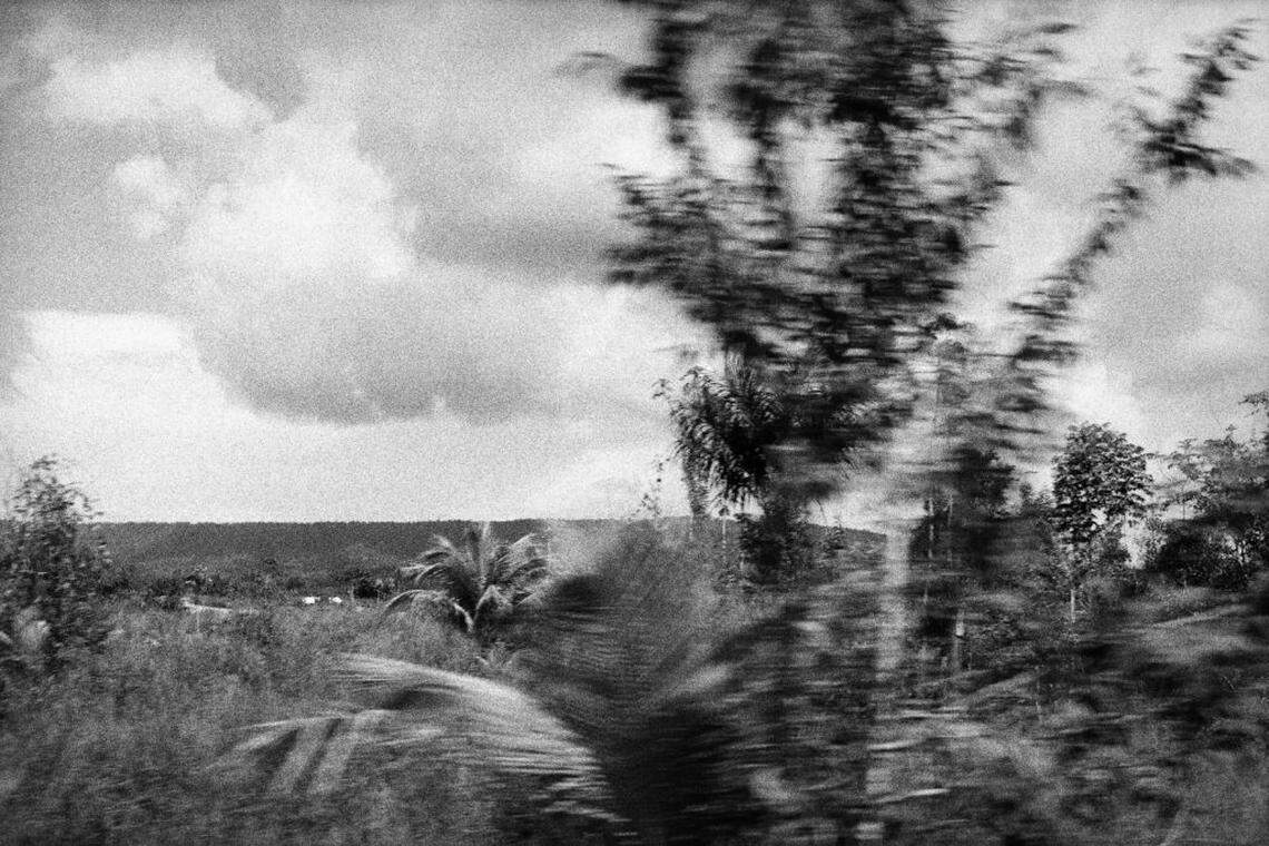 Amanda Bradley, “The wind carries me,” 2023-2024.