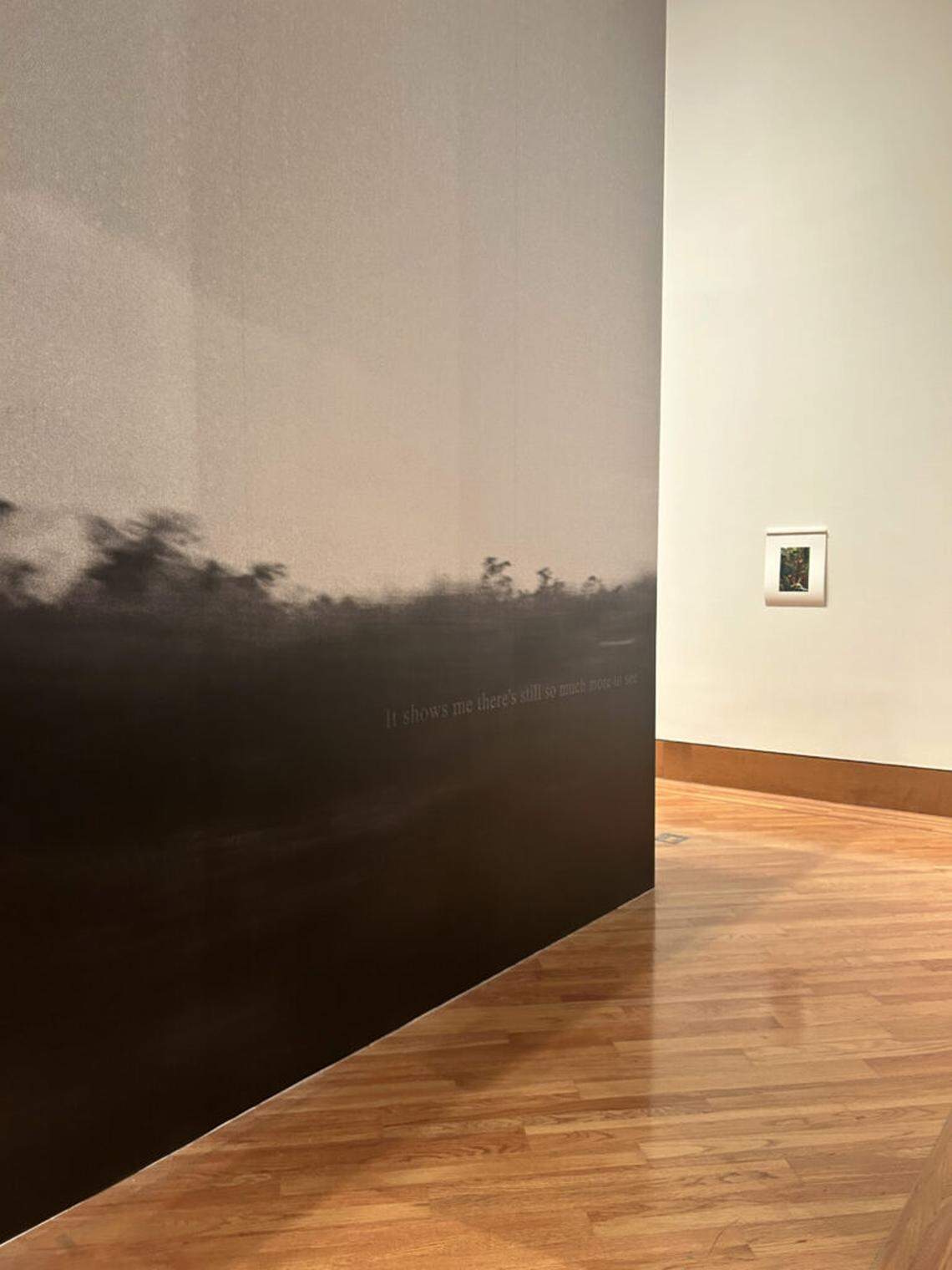 Amanda Bradley, detail view of “I sit as a passenger (on this road),” 2024. Digital print on vinyl with clear vinyl text.