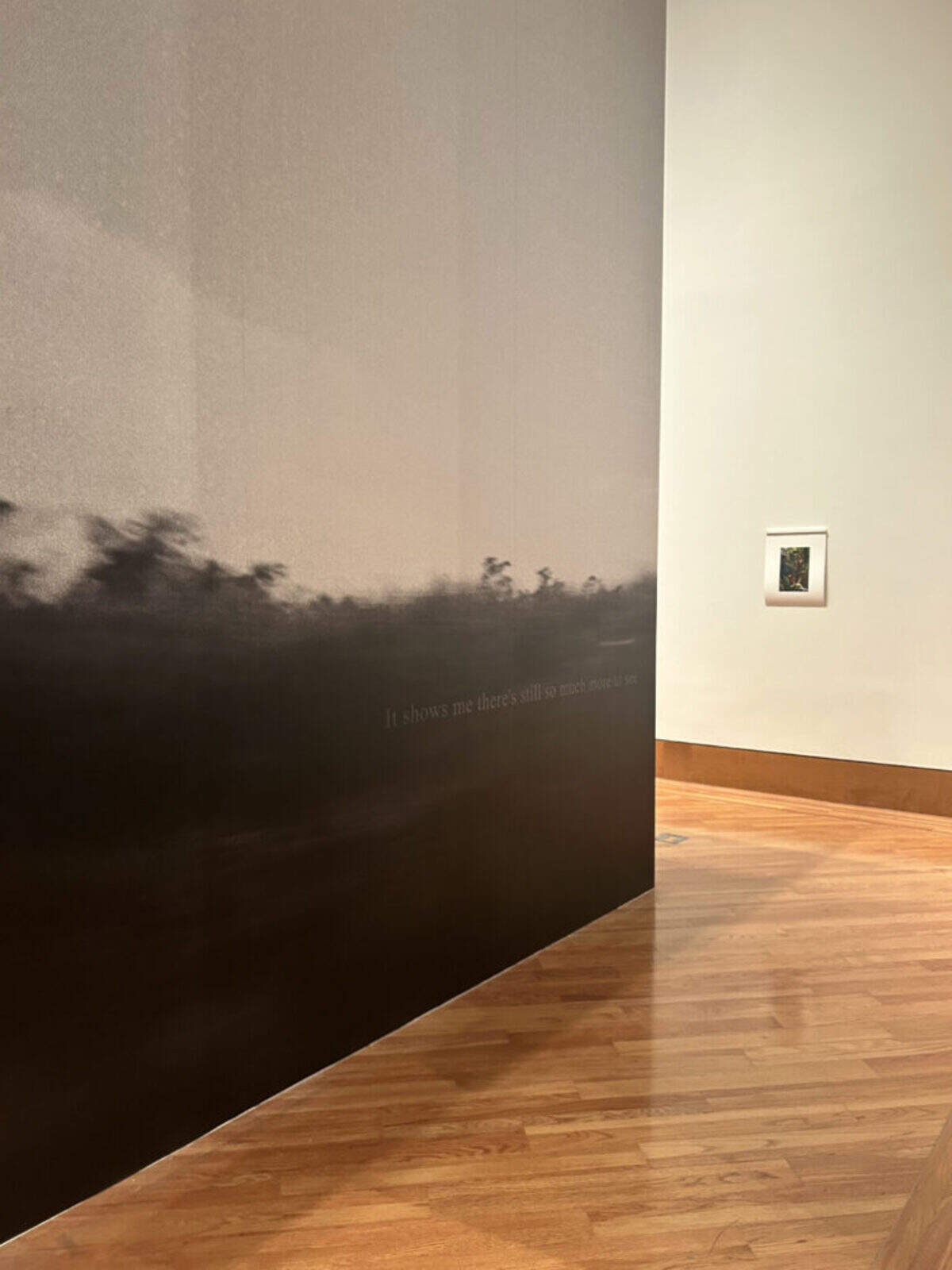 Amanda Bradley, detail view of “I sit as a passenger (on this road),” 2024. Digital print on vinyl with clear vinyl text.