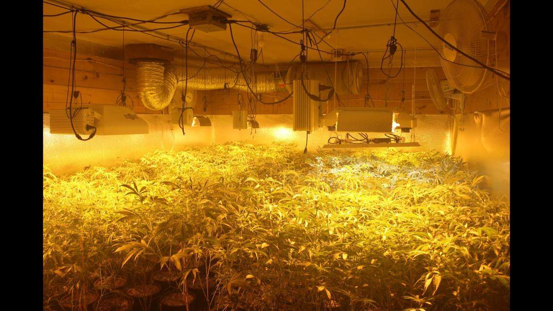 A search warrant revealed “approximately 2,500 marijuana plants” inside the home, Maine officials say.