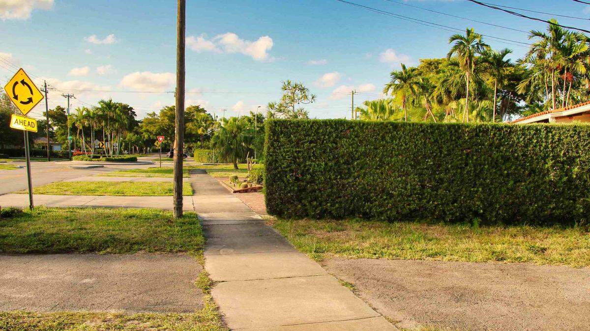 This hedge doesn’t make the cut when it comes to safety and code compliance, according to Miami Springs Mayor Maria Mitchell.