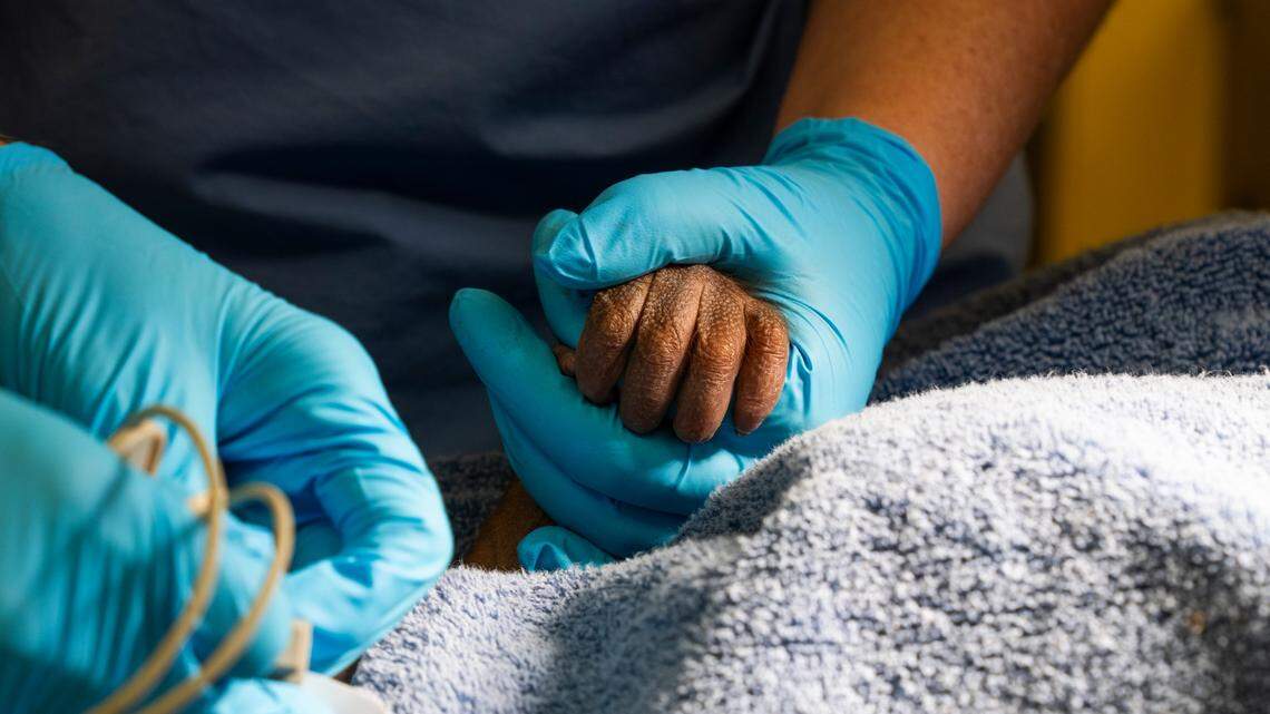 The “critically endangered” orangutan weighed 3.4 pounds at birth.