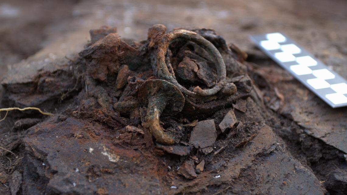 Searchers with metal detectors stumbled on bones and ornaments at a sacrificial bog site in Chełmiński, photos show and archaeologists said.