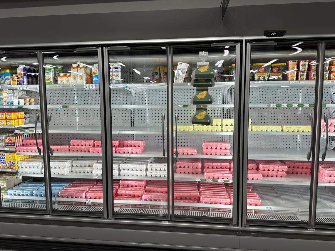 The lingering egg shortage problem, traced to the avian flu, was unmistakable inside the coolers at the new Briar Bay Publix on opening weekend, March 2, 2025.