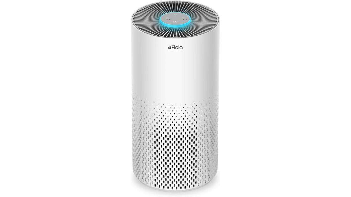 I have a cat and live in an apartment, and this best-selling air purifier is a must-have for my small space