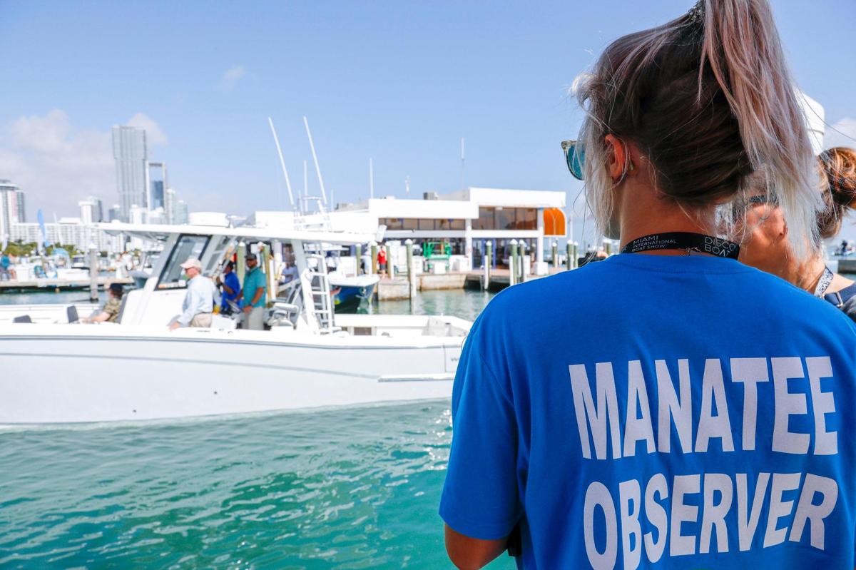 Manatee observer Savannah Renken asks a captain to slow down after she spotted a manatee in the vicinity of the Venetian Marina & Yacht Club during the Miami International Boat Show in downtown Miami on Friday, Feb. 18, 2022.