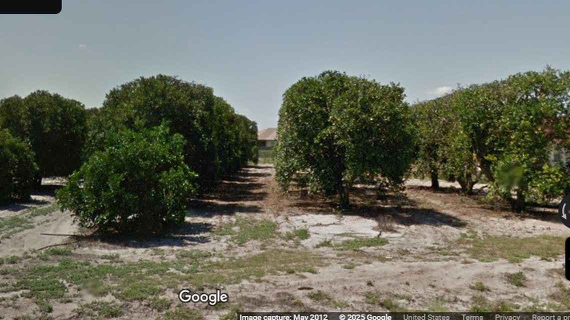 The victim says he was able to run into an orange grove and hide when the suspect’s gun jammed. This grove is near where the victim was found by deputies on March 22.