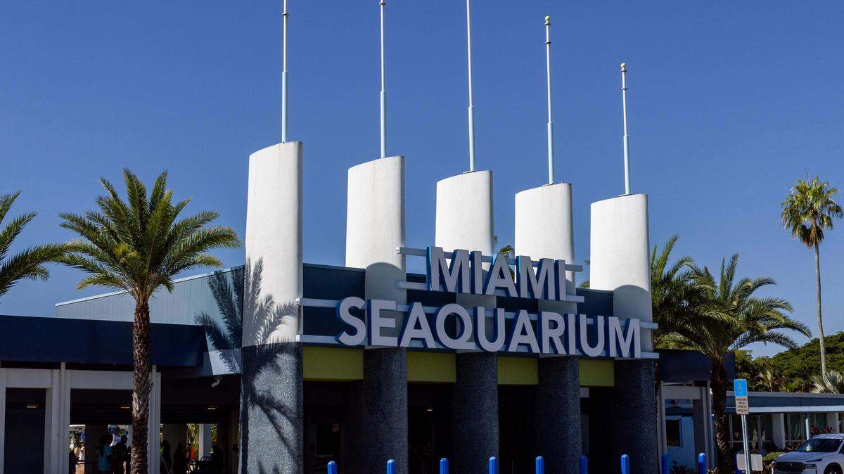 An exterior shot of Miami Seaquarium on Sunday, October 12, 2025, on Virginia Key in Miami, Fla.