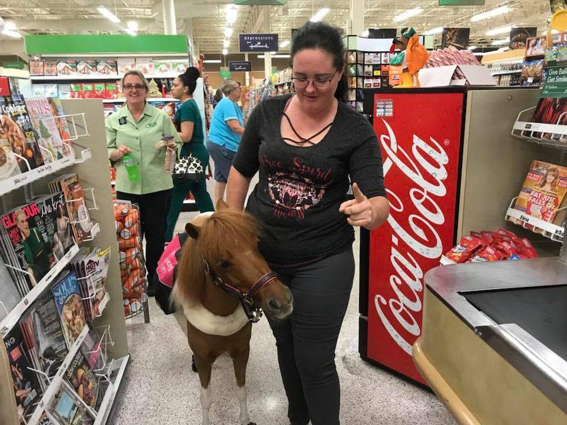 Jessica Wellman walks into a Publix for the first time with Honey, her service miniature horse, in November 2017.