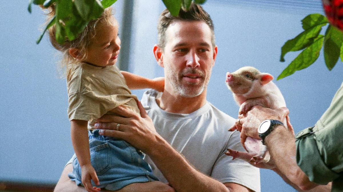 Bobby Novoa y su hija, Olivia, de 2 años, conocen a uno de los cerdos indultados por la alcaldesa de Miami-Dade, Daniella Levine Cava.