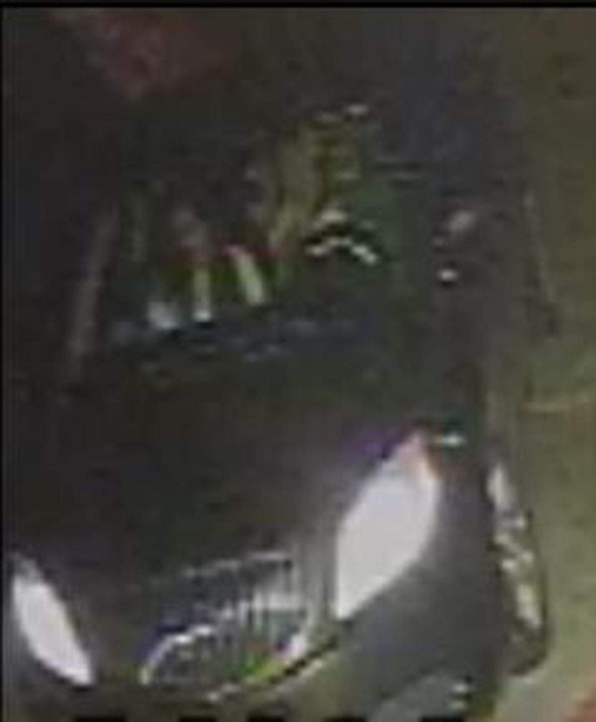 Davie police say these are the suspects in the Aug. 21 purse theft leaving afterwards.