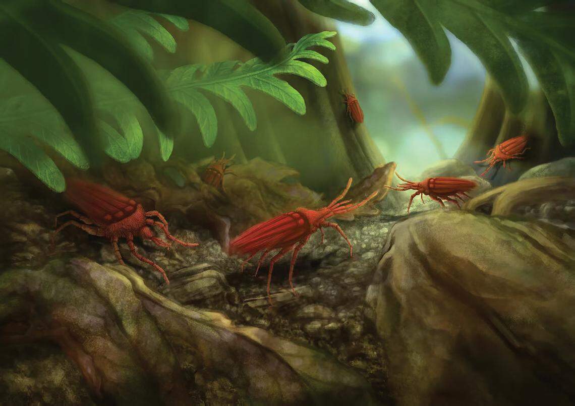 The mite might have been red and protected from predators with its hair-like structures.