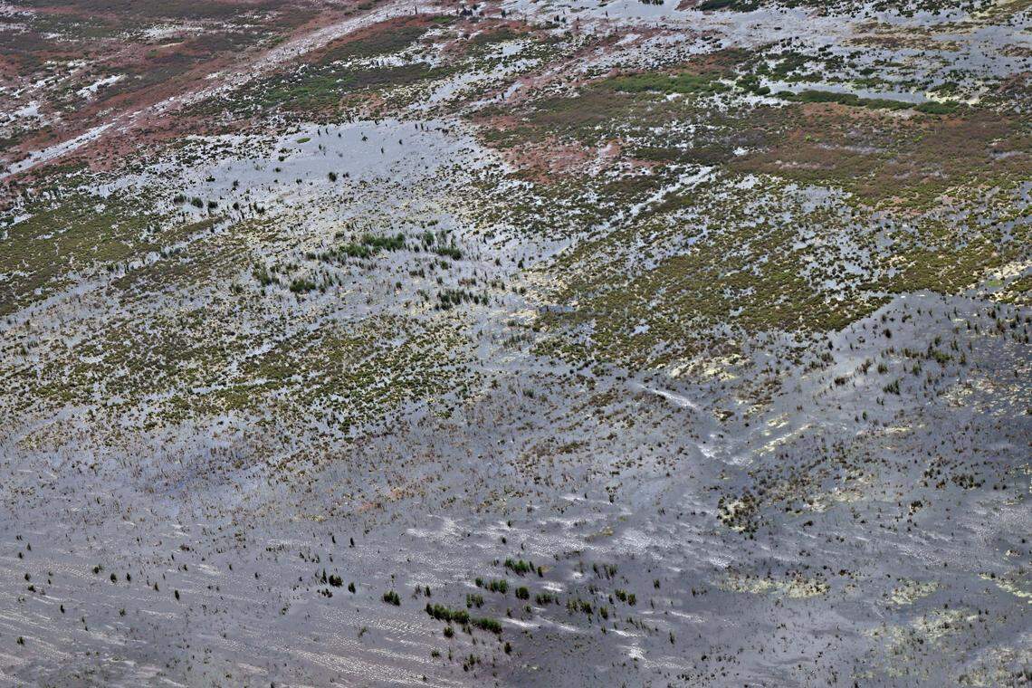 Part of the 6,500 acres of man-made wetlands designed to clean Lake Okeechobee’s water. 