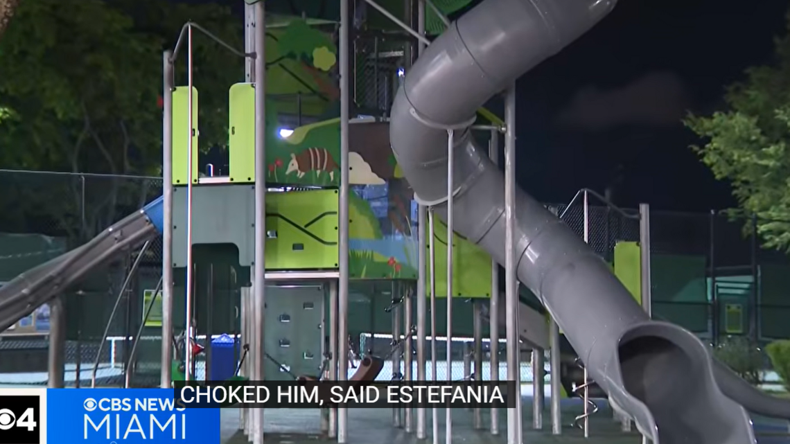 After tragedy on a playground slide, Miami commissioner calls for investigation