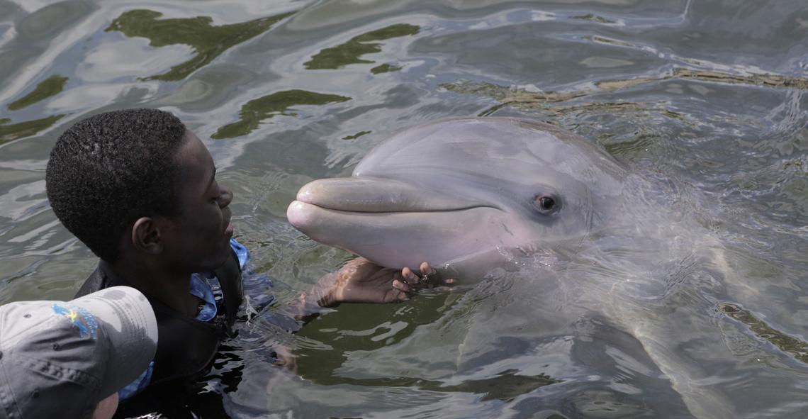 Djonsly Alcin, 14, who is from Haiti, pets a dolphin at Island Dolphin Care in Key Largo. For two years, his mother was unable to get a cancer diagnosis in Haiti.