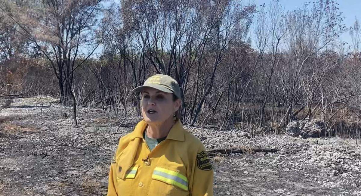 Ludie Bond, doctor of forestry with the Florida Forest Service, discusses how south Miami-Dade’s massive brush fire proliferated due to drier than usual conditions, Homestead, Friday, March 21, 2025.