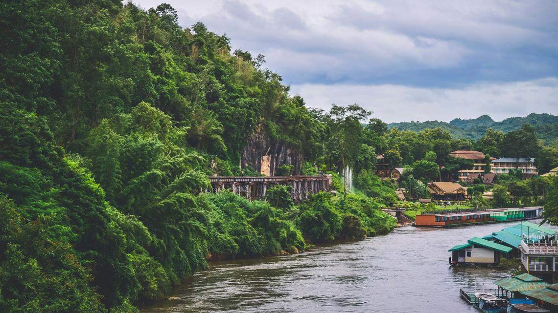 In the forests around Kanchanaburi, Thailand, a university student discovered a new species on a bush.