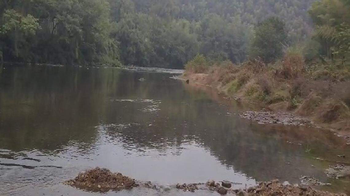 The tiny creatures were found among pebbles in China’s Zishui River, experts said.