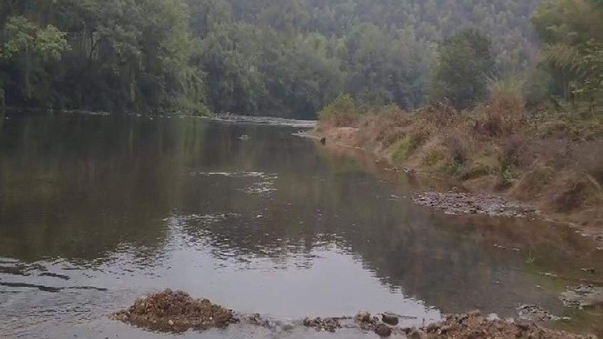 The tiny creatures were found among pebbles in China’s Zishui River, experts said.
