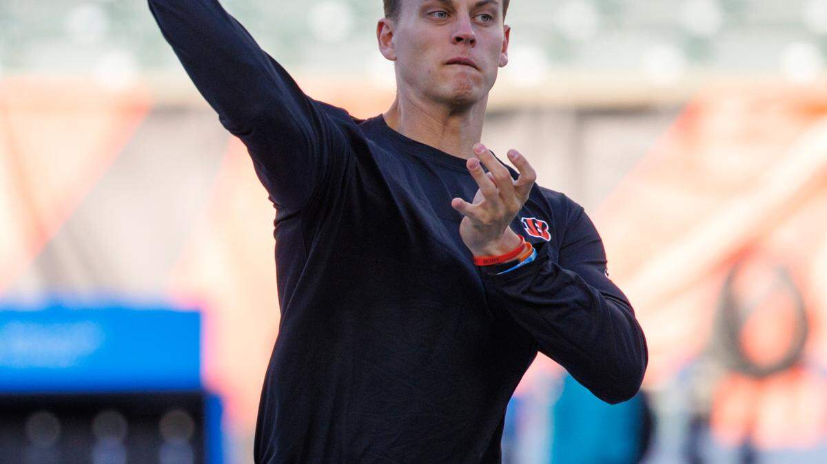 AFC North: the Bengals beat you, and the Ravens, Steelers, Browns still want to pound you