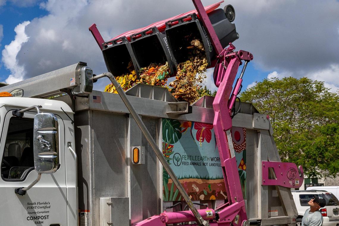 Food scraps from the Pinecrest Library drop-off location are dumped into a composting truck on Tuesday, February 25, 2025, in Pinecrest, Florida.