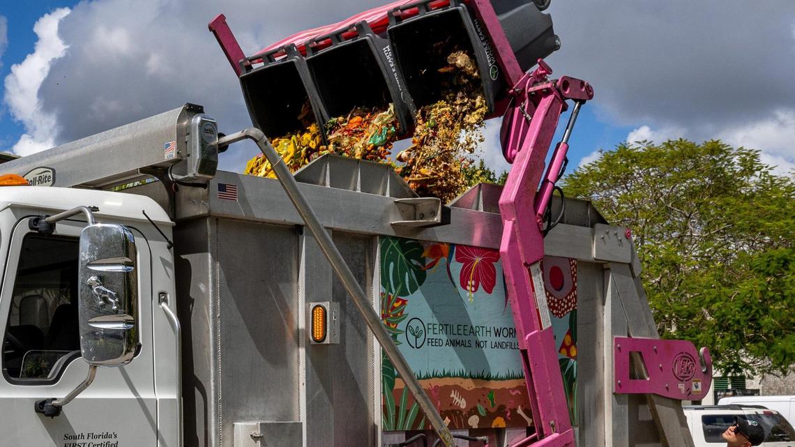 Food scraps from the Pinecrest Library drop-off location are dumped into a composting truck.
