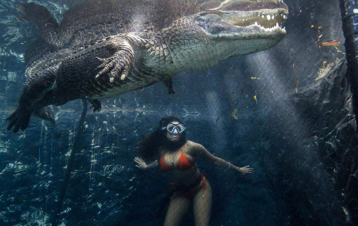 A guest named Kendra at Everglades Outpost Wildlife Rescue.