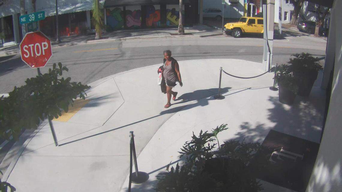 Miami police are asking for the public’s help in finding this woman, suspected of trying to kidnap a child last week from a photo gallery in the Design District.