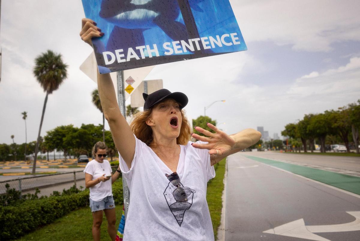 Shani Roushar, who came to Miami Seaquarium as a kid, holds a sign in protest during a gathering two days after Lolita’s death outside the Miami Seaquarium on Sunday, Aug. 20, 2023, on Rickenbacker Causeway before Key Biscayne. “She was my orca in my backyard, and then about 10 years ago I really started thing about it & seeing how bad it was,” said Roushar. Protestors were hoping to turn people away from visiting the Seaquarium.