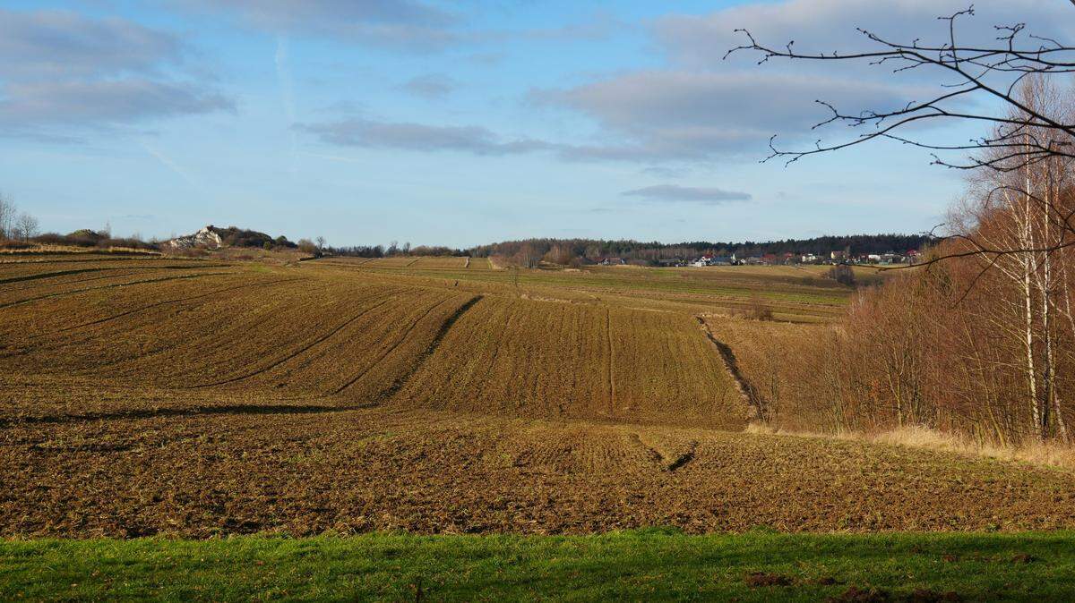 A farmer working in a field in Poland discovered an ancient piece of jewelry, officials said.