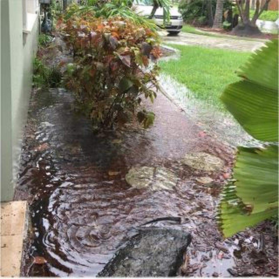 Heather Gaker’s home after a heavy rainstorm with floodwater puddled near her foundation.