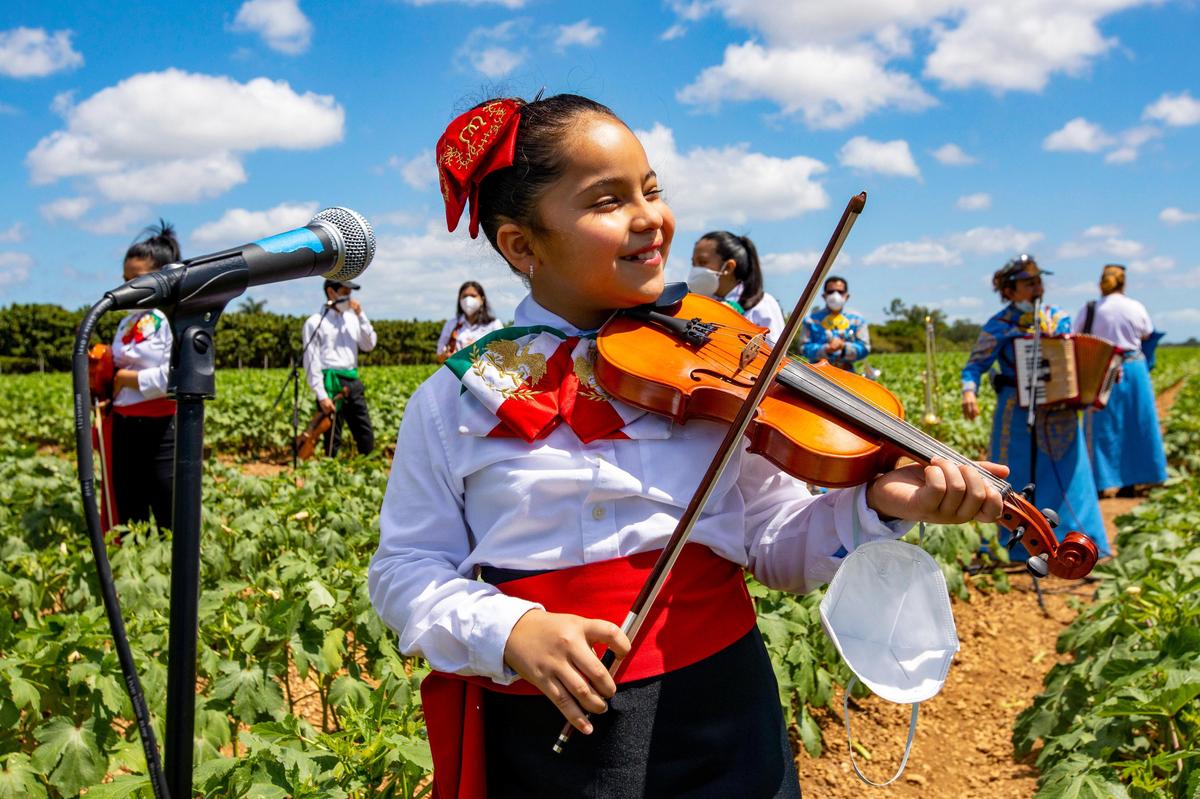 Homestead-Miami Mariachi Conservatory student Victoria Sifuentes, 9, practices on her violin before a Cinco de Mayo celebration hosted by The Mexican-American Council at Sifuentes Farms in Homestead, Florida on Tuesday, May 5, 2020. Congresswoman Debbie Mucarsel-Powell made an appearacne as she regurlay donates masks and supplies to farmer in the area.