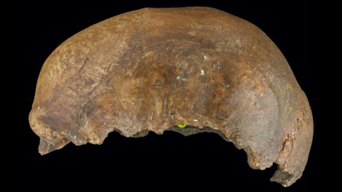 Human remains, such as the pictured skull cap, indicated that ancient humans practiced cannibalism as a funerary practice, experts said.